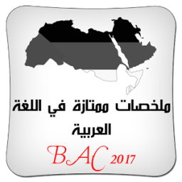 اللغة العربية ملخص ممتاز BAC icon