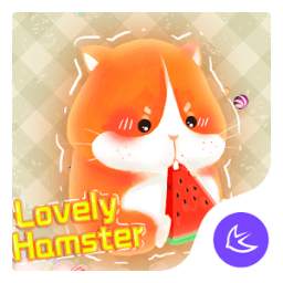 Hamster-APUS Launcher theme