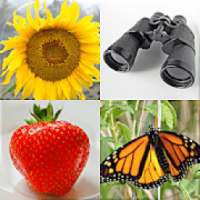 Easy Pictures and Words - Photo-Quiz with 5 Topics