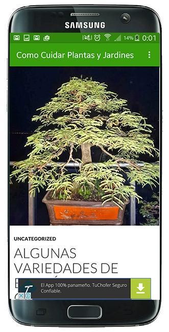 Como Cuidar Plantas/Jardines screenshot 2