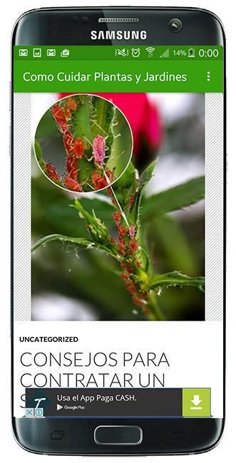 Como Cuidar Plantas/Jardines скриншот 3