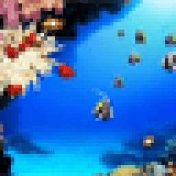 Коралловые рифы Обои icon