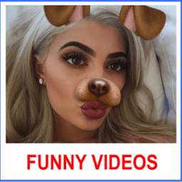 Funny Videos 1.1