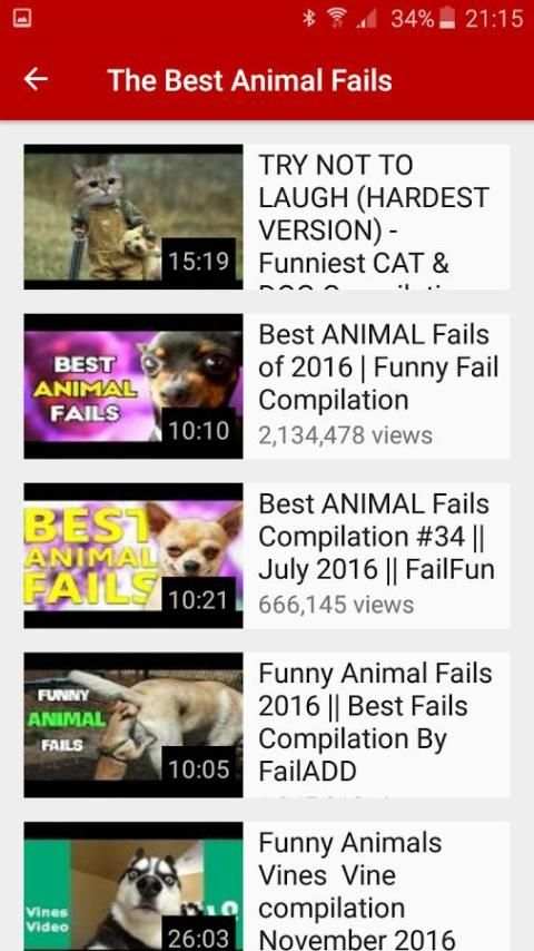 Funny Videos screenshot 2
