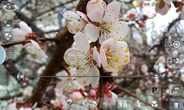 Your Camera स्क्रीनशॉट 6