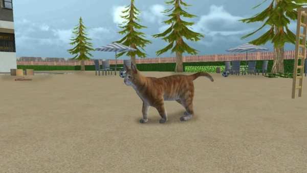 Cat Simulator 2017 screenshot 1