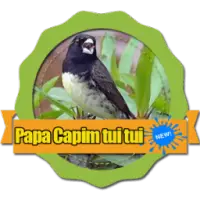 Descarga de APK de Canto de Papa-Capim Tui Tui Puro Grátis para Android