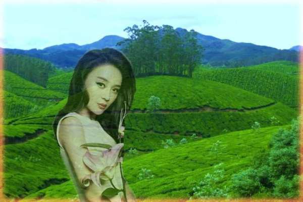 Green Hill Photo Frame स्क्रीनशॉट 4