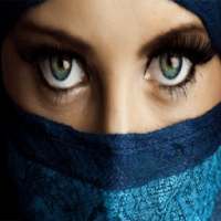 شعر شهد الشمري on 9Apps