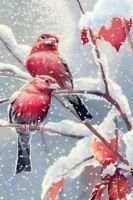 Snow Birds live Wallpaper screenshot 1