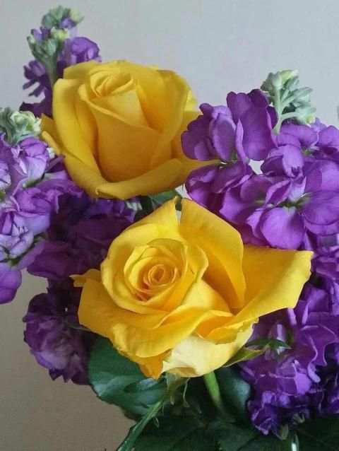 Flowers Gifs And Roses Live Wallpapers स्क्रीनशॉट 6