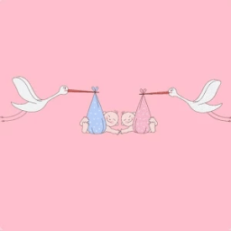 Sonho de Ser Mãe icon