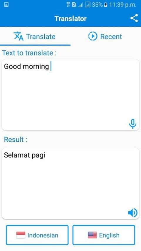 Indonesia English Translator screenshot 2
