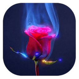 Lovely rose live wallpaper icon