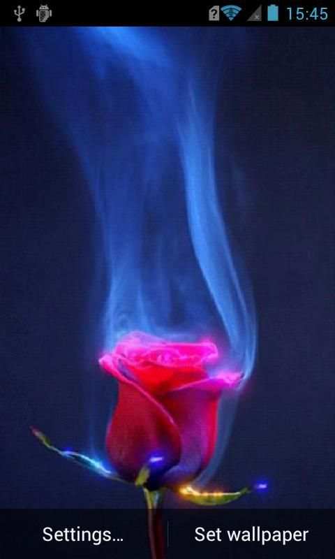 Lovely rose live wallpaper screenshot 3