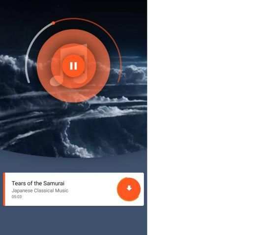 Gray Music Downloader screenshot 3