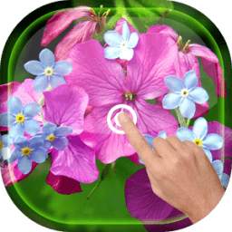 Magic Touch - Spring Flowers
