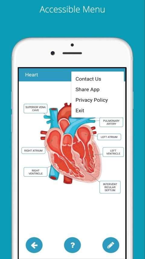 Learn Human Anatomy (Human Body) screenshot 3