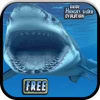 Guide Hungry Shark Evolution