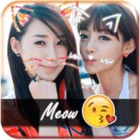 Cat Face Filter Effects on 9Apps