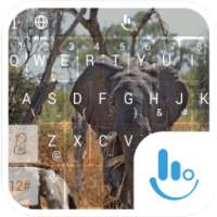 The Elephant Keyboard Theme