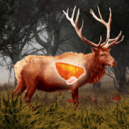 Deer Target Hunting - Pro आइकन