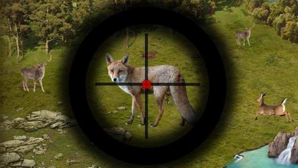 pemburuan hewan dengan Sniper screenshot 2