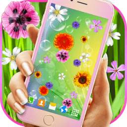 Spring Flowers on Screen