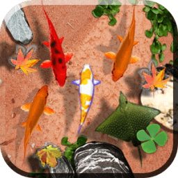 Fishes Live Wallpaper आइकन