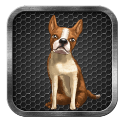 My Talking Dog icon
