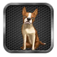 My Talking Dog icon