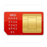Your Sim Information