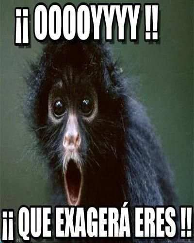 Imágenes de WhatsApp screenshot 4