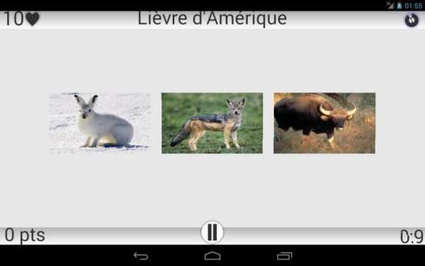 Animaux Quiz скриншот 5