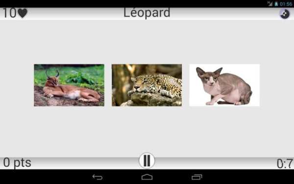 Animaux Quiz скриншот 2