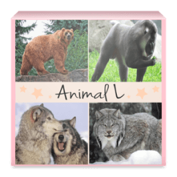 ikon Animaux Quiz