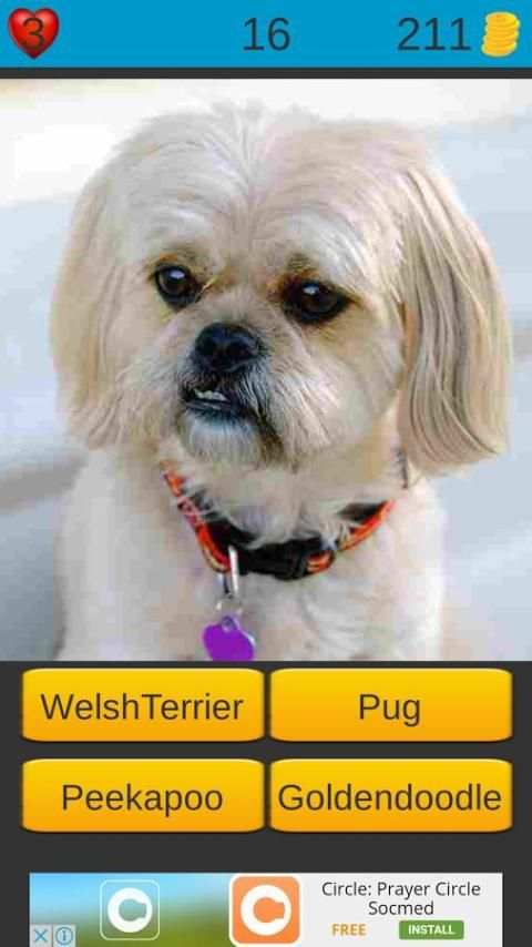 Dog Breeds Game: Dog Names screenshot 8
