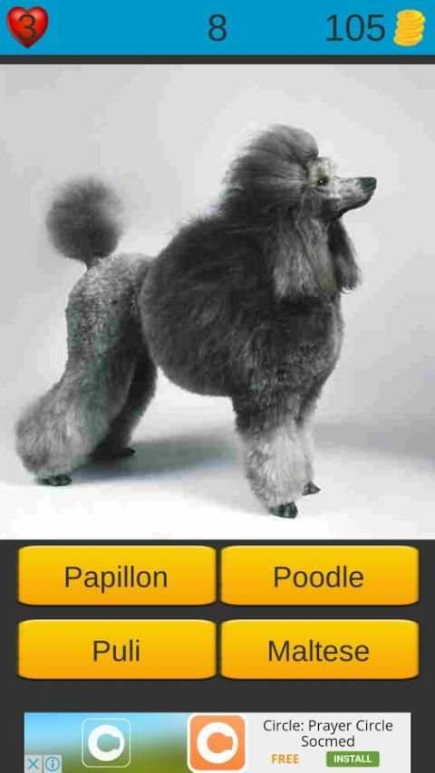 Dog Breeds Game: Dog Names screenshot 4