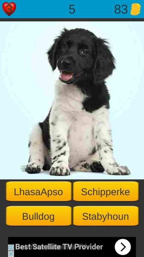 Dog Breeds Game: Dog Names screenshot 13