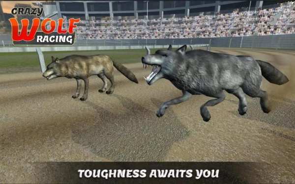 Wild Wolf Racing Game स्क्रीनशॉट 5