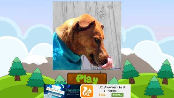 Dog Names: Dog Breeds Games screenshot 7