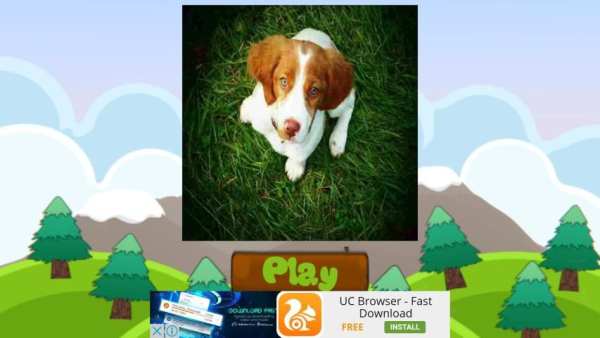 Dog Names: Dog Breeds Games screenshot 21