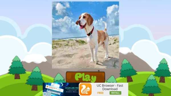 Dog Names: Dog Breeds Games screenshot 22
