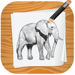 ikon Elephant Drawing step by step