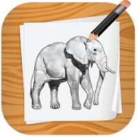 Elephant Drawing step by step