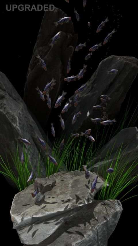 NANO AQUARIUM Free screenshot 11
