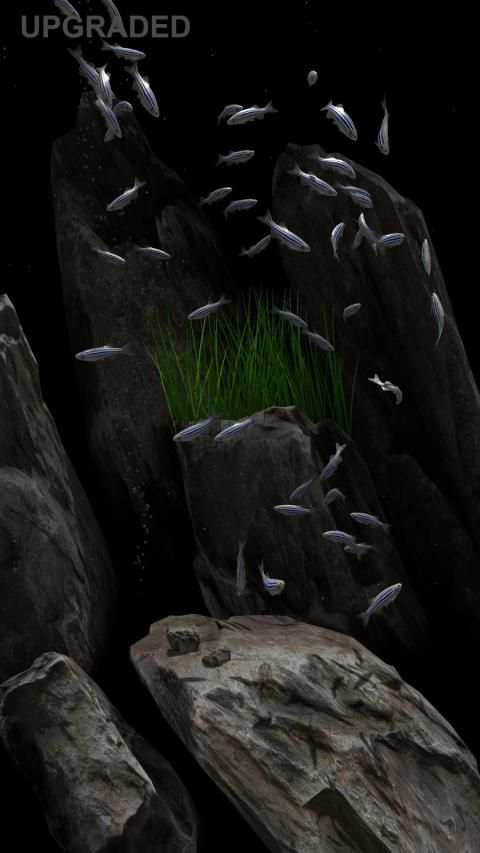 NANO AQUARIUM Free screenshot 10