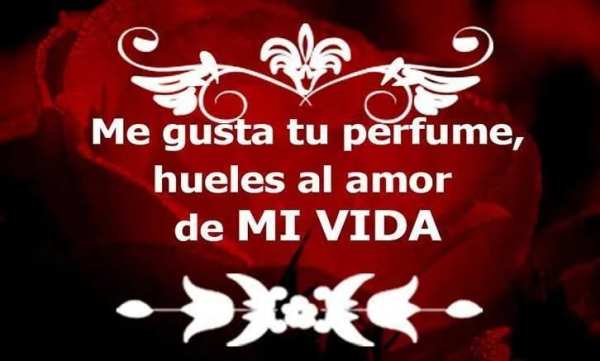 Estados de amor para whatsapp screenshot 2