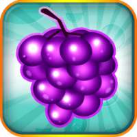 Fruit Blitz Free