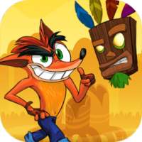 Bandicoot Adventure In Jungle